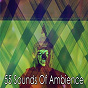Album 55 Sounds of Ambience de Zen Meditation & Natural White Noise & New Age Deep Massage