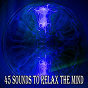 Album 45 Sounds to Relax the Mind de Massage
