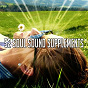 Album 52 Soul Sound Supplements de Yoga Sounds