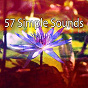 Album 57 Simple Sounds de Meditation
