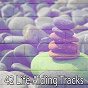 Album 42 Life Aiding Tracks de Massage