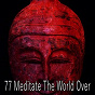 Album 77 Meditate the World Over de Ambient Forest