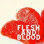 Album Flesh and Blood de Stardust At 432hz