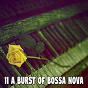 Album 11 A Burst of Bossa Nova de Bossa Nova Lounge Orchestra