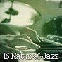 Album 16 Natural Jazz de Relaxing Piano Music Consort