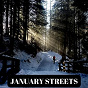 Album January Streets de Stardust At 432hz