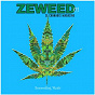 Compilation Zeweed 01 (Smoooking Music by Ze Cannabis Magazine) avec Irving Mills / Hatt / Guilhem Hatt / François Pavan / Mi-Yung Pavan...