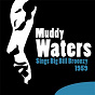 Album Sings Big Bill Broonzy (1959) de Muddy Waters