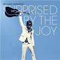 Album Surprised by the Joy de Richard Ashcroft